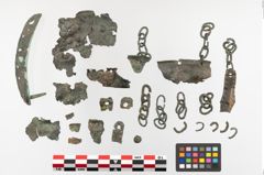 Foto von Bronzebreitrandschale (NHMW-PRAE-023699)